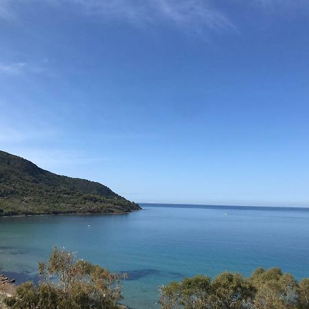 B&B Quasi In Centro Agropoli Eksteriør bilde