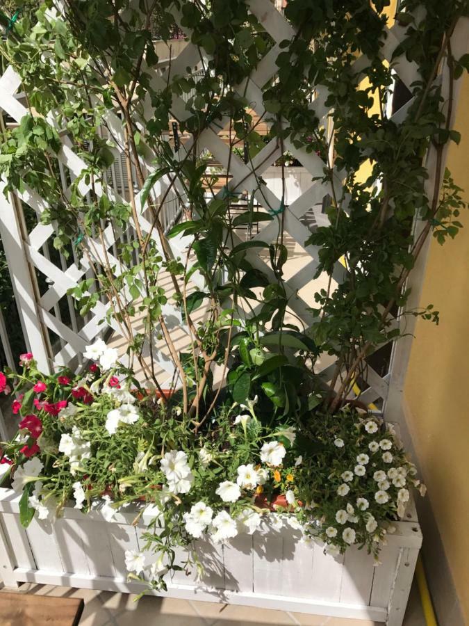 B&B Quasi In Centro Agropoli Eksteriør bilde